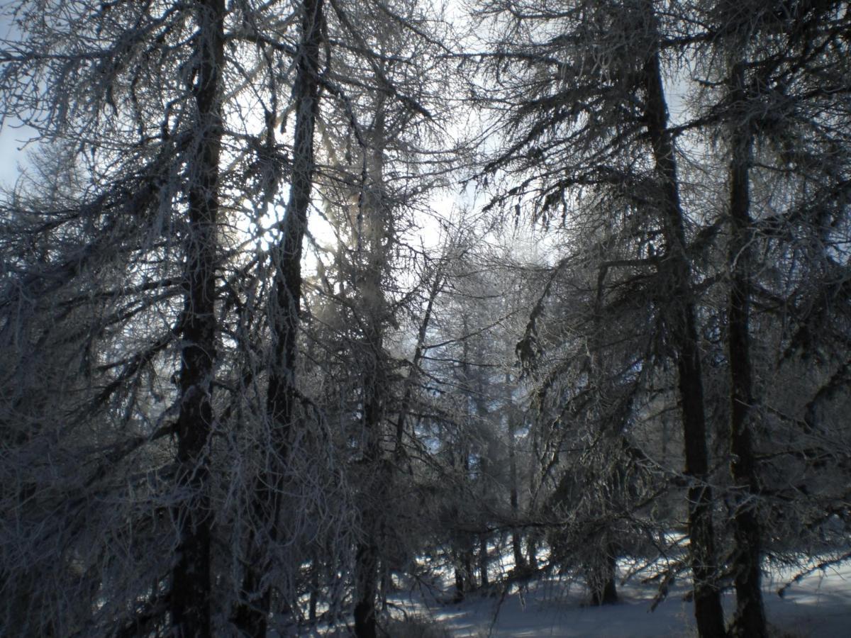 Apartmán T3 Coquet Et Lumineux Aux Pieds Des Pistes Ancelle Exteriér fotografie